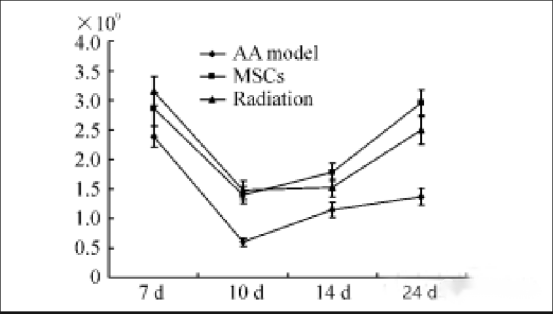 從根本解決問題：干細胞為何成為治療再障貧血的最佳選擇？